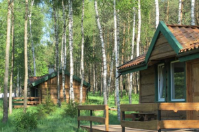 domki na leśnej polanie in Lidzbark Warm